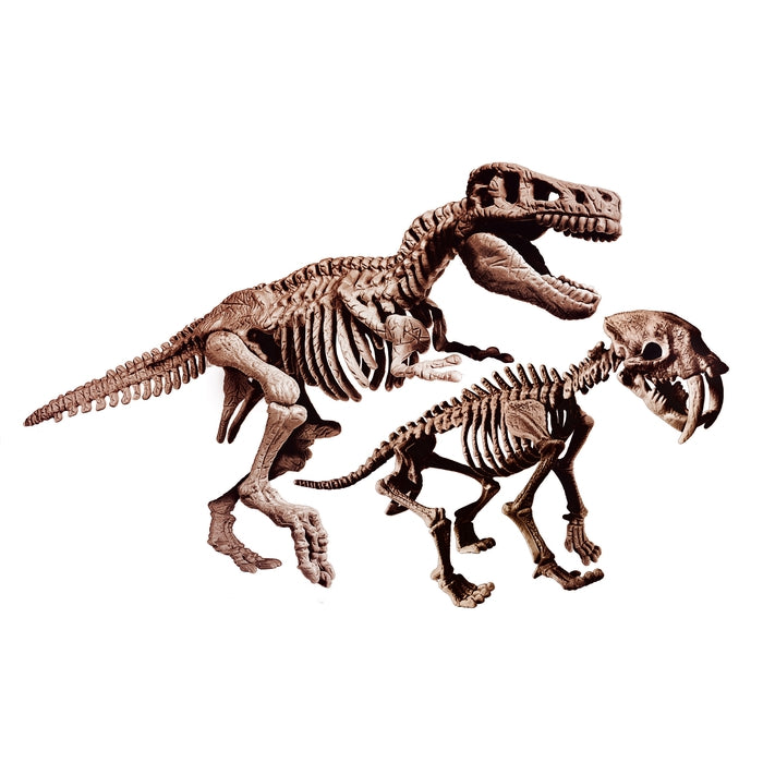 clementoni-science-play-lab-archeogiocando-t-rex-et-smilodon-2-en-1 image 2